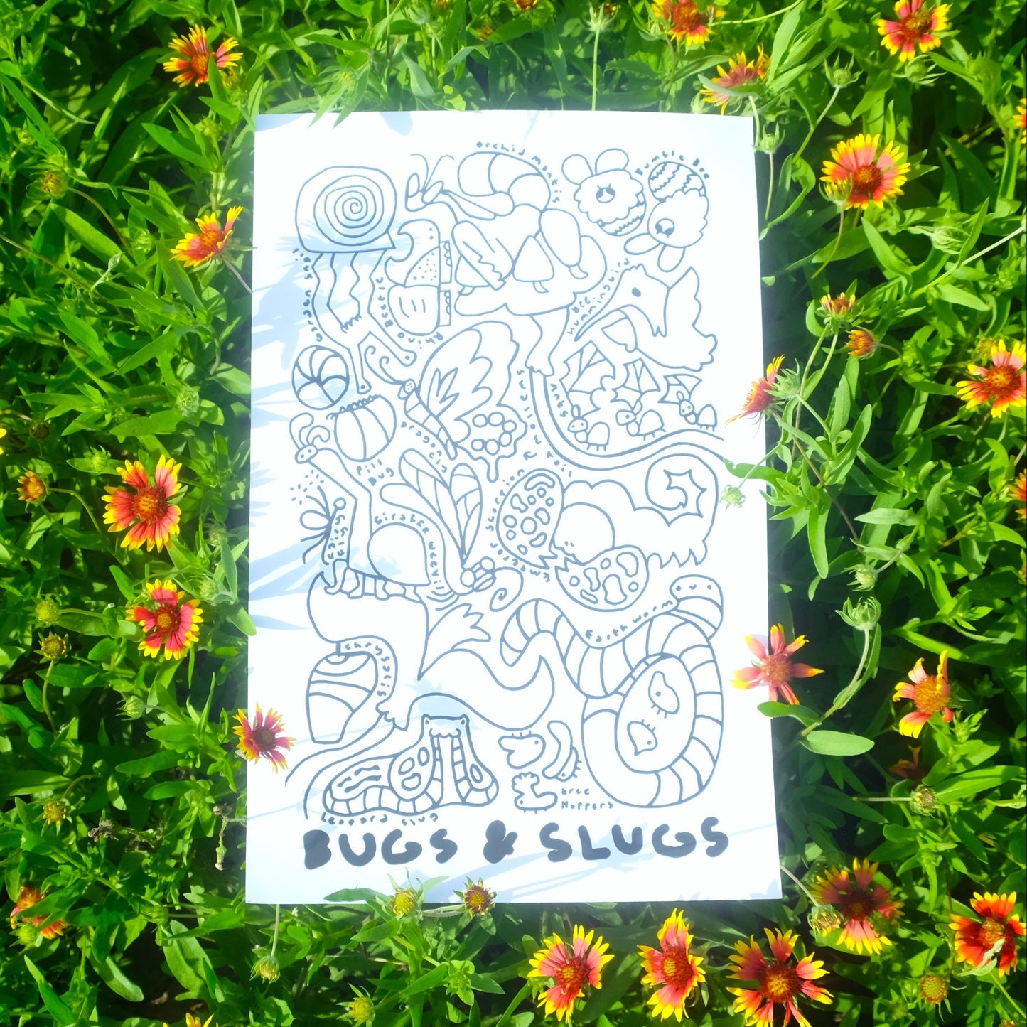 The Bugs & Slugs Poster (11"x17")